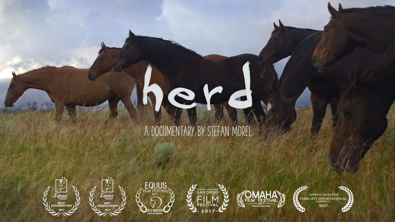 Updated: Watch: Herd: A Spiritual Journey (Documentary)