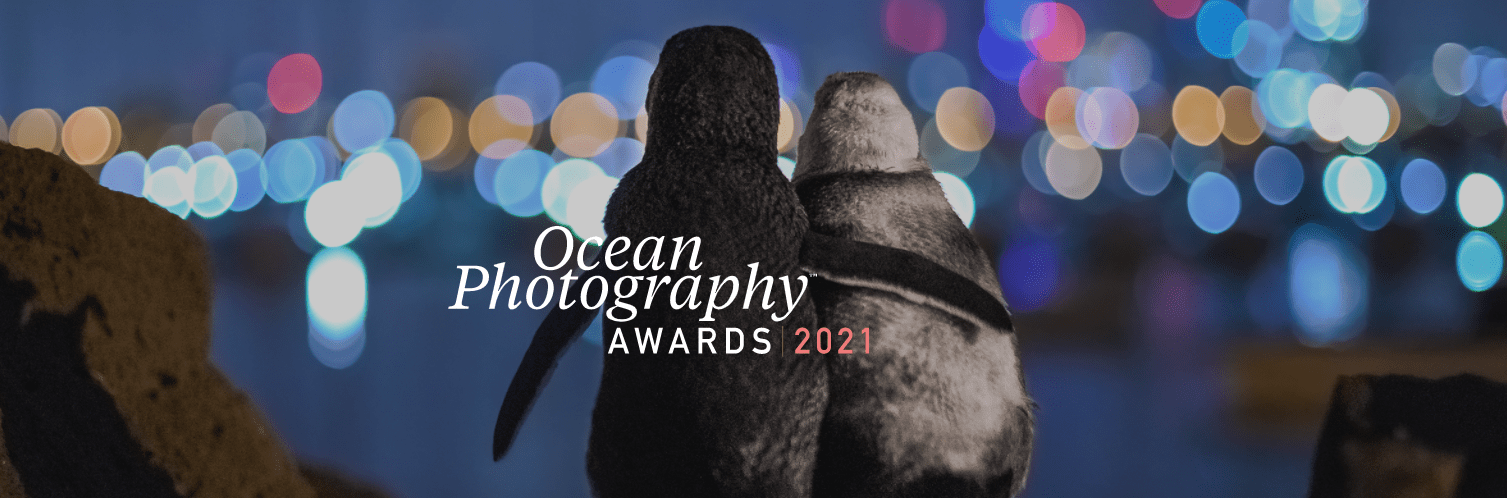 Photo Essay: Ocean Photographer of the Year (2021)